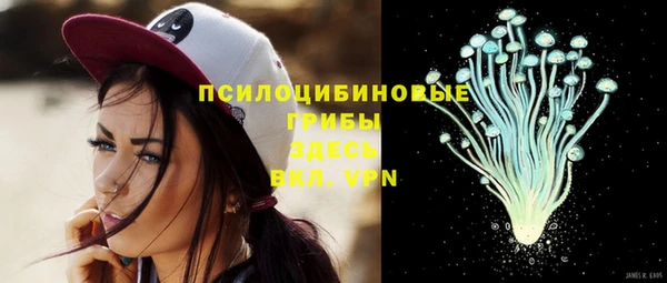 винт Нягань