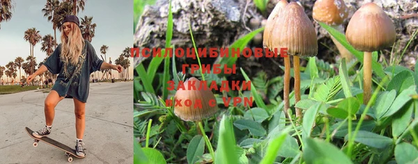 круглые Алексеевка