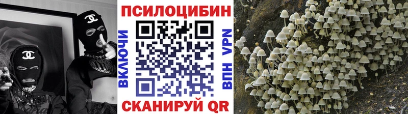 Псилоцибиновые грибы GOLDEN TEACHER  Кондопога 